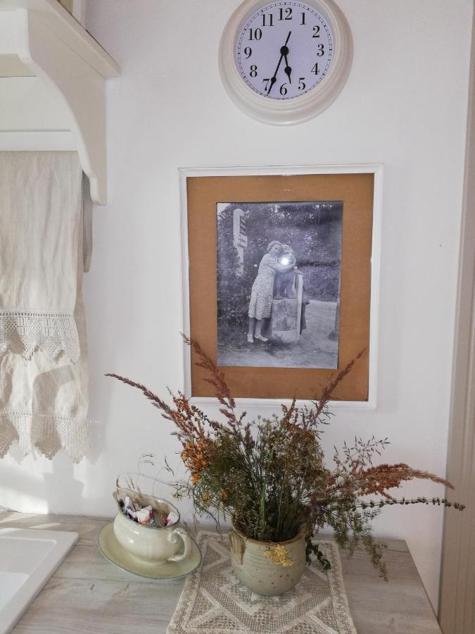 Tērvete Palena Apartamenti מראה חיצוני תמונה
